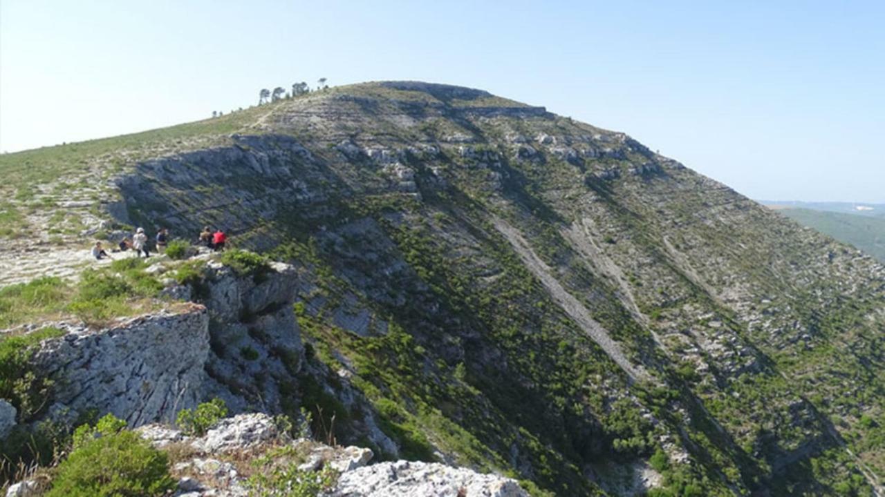 Вілла Quinta Do Sanguinhal Ріу-Майор Екстер'єр фото